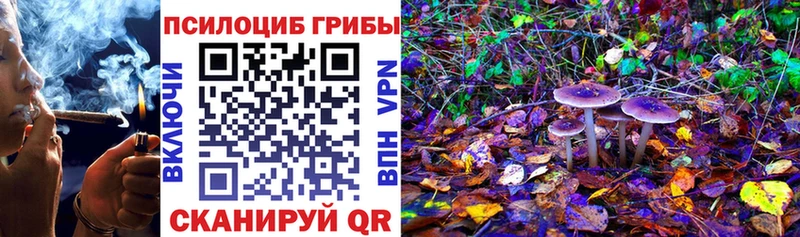 закладка  Вилюйск  Галлюциногенные грибы ЛСД 